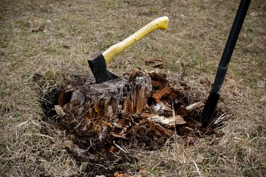 Tree Stump Removal